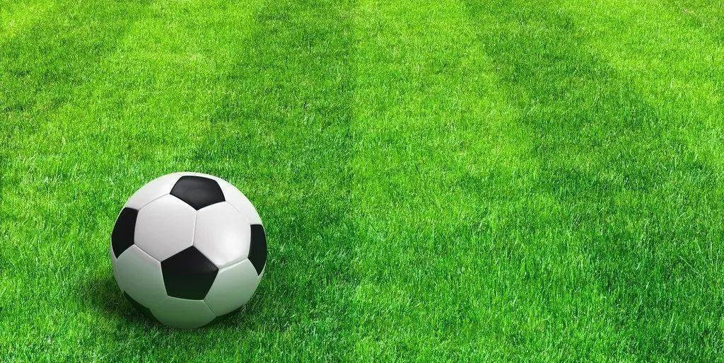 今日足球赛事查询平台界面展示